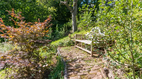 1770285768-21) wilde tuin (13)
